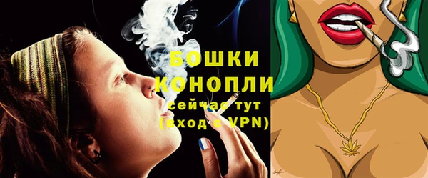 Альфа ПВП Лиски