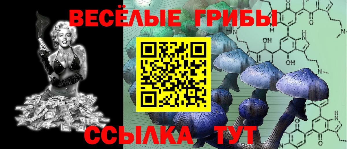 Галлюциногенные грибы мицелий  Вход с VPN  Михайловка  Галлюциногенные грибы ЛСД 