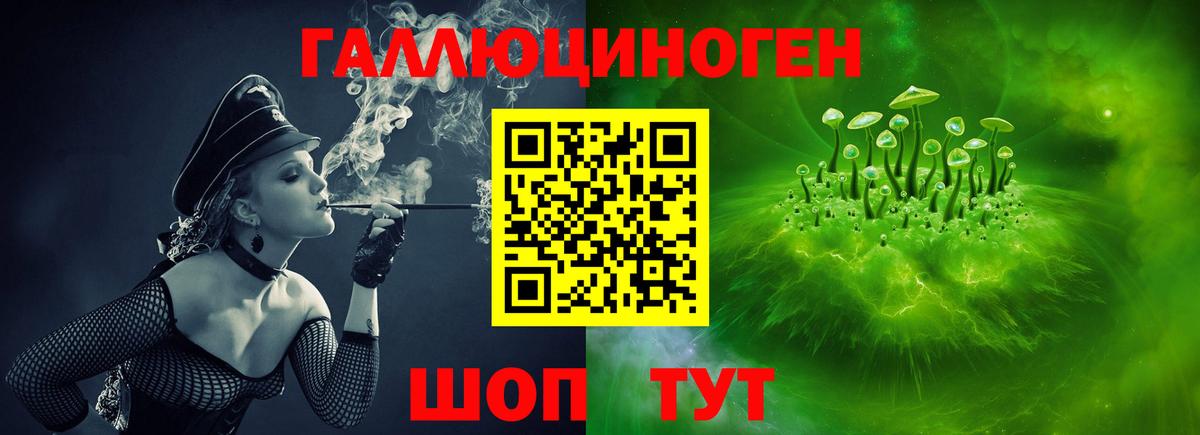 Псилоцибиновые грибы ЛСД Михайловка