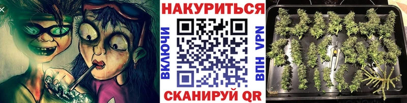 Конопля Bruce Banner  где найти   Михайловка 
